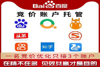 行业巨头的SEM广告投放策略揭秘